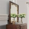 acme eschenbach mirror 25964