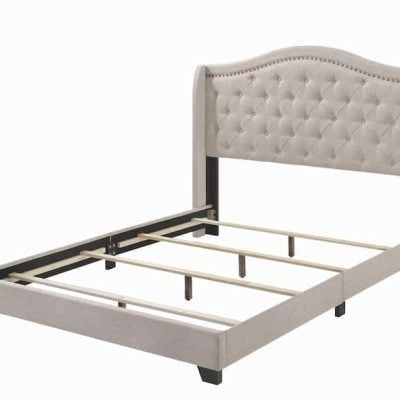 sonoma beige coaster bed 310073Q_1a