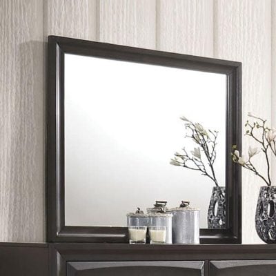 26544 soteris mirror