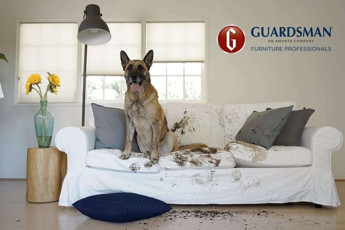 guardsman prime warranty