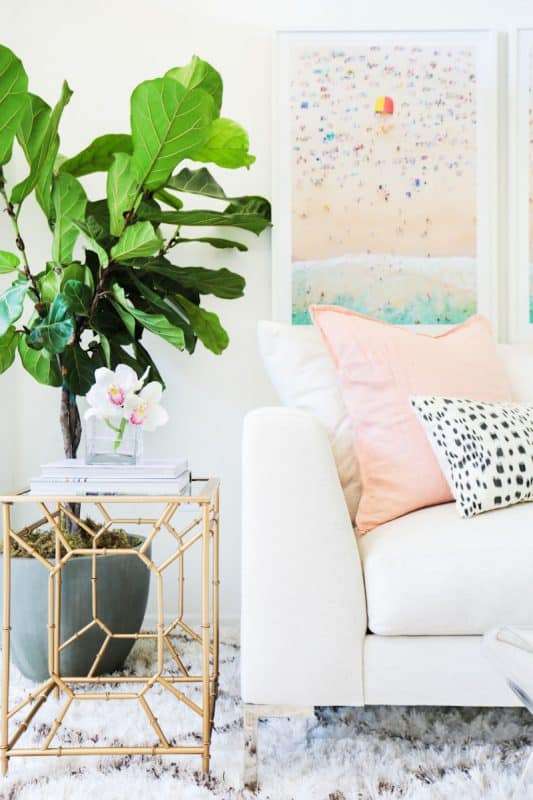 fiddle leaf fig tree living room decor