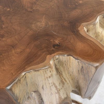 51000069 Groot Coffee Table