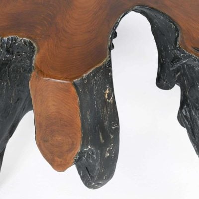 Madeira Root Coffee Table