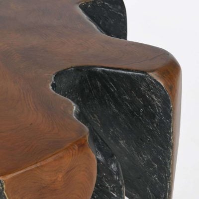 Madeira Root Coffee Table