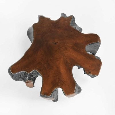 Madeira Root Coffee Table