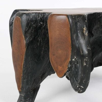 Madeira Root Coffee Table