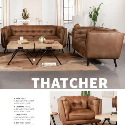 Thatcher Sofa by Coaster furniture