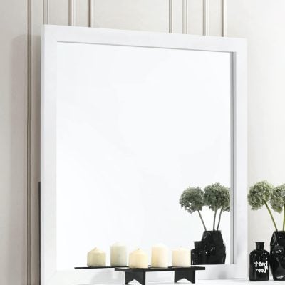 224404 kendall mirror