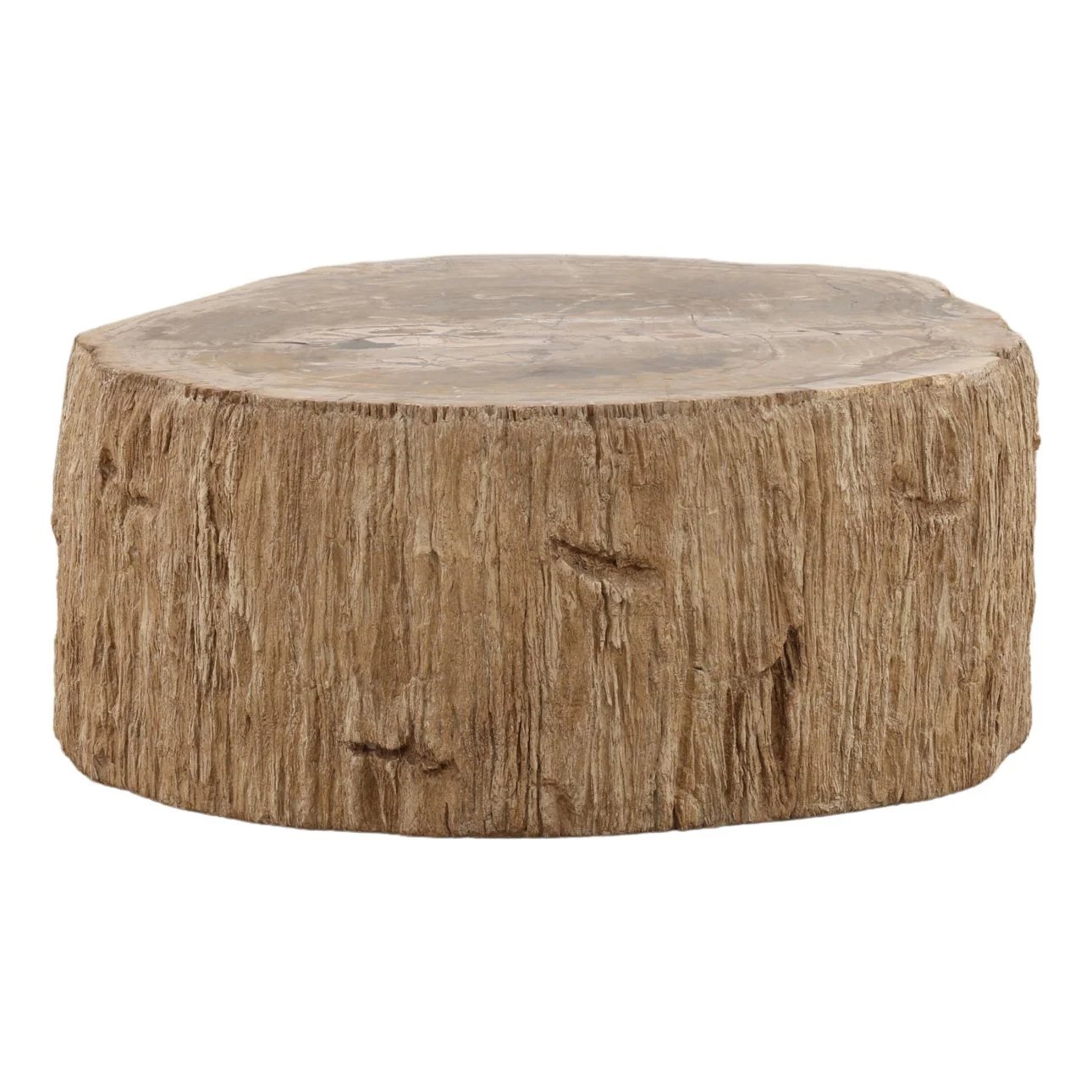 Arik Petrified Wood Stump Coffee Table